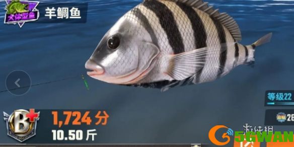 游侠网5