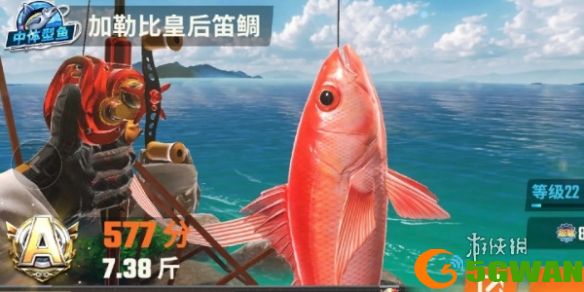 游侠网7