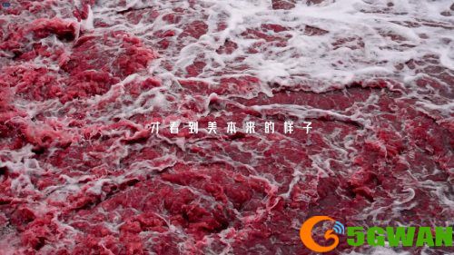 《星际52区》&times;南天门计划联动确定 4月24日公测同步开启