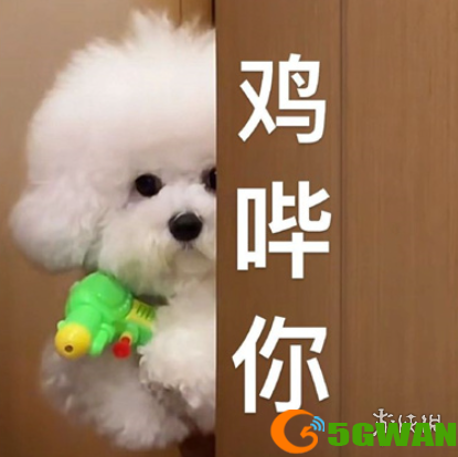 游侠网6