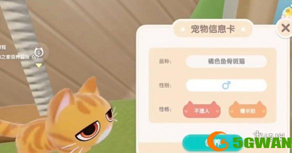 手游巴士2