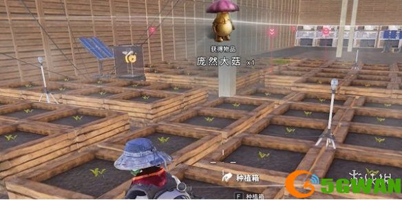 手游巴士5
