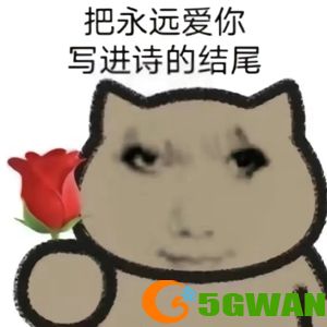手游巴士175
