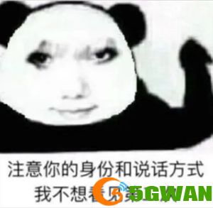 手游巴士164