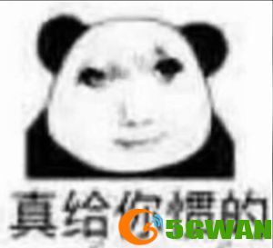 手游巴士165