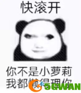 手游巴士113