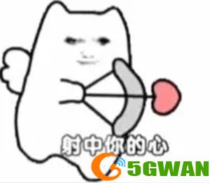 手游巴士144