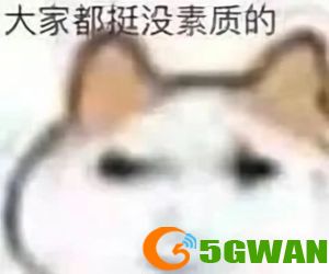 手游巴士84