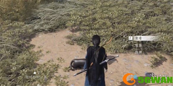 手游巴士5