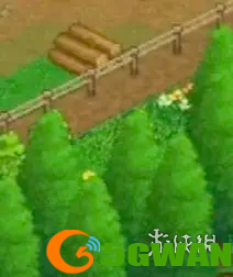 游侠网3