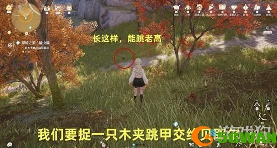 无限暖暖探险之美捕虫篇怎么完成2
